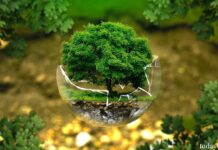 【比利时弃权】欧盟通过备受争议的“自然恢复法”