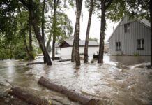 树上躲洪水 德国一女子两天半后获救
