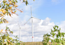 德国一季度可再生能源发电占比近六成