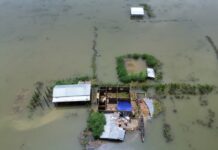 高温“炙烤”北半球 多国受灾影响民生