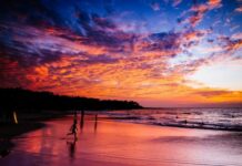 一人在夏威夷遭鲨鱼袭击身亡 曾出演《加勒比海盗》