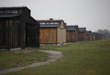 德国95岁“纳粹奶奶”被判1年4个月监禁