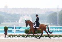 巴黎奥运会|马术三项赛盛装舞步:中国选手华天位列第三