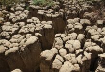 联合国教科文组织针对全球土地快速退化发出警告