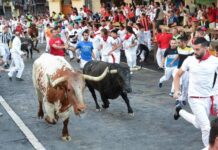 西班牙奔牛节落幕 数十人受伤住院