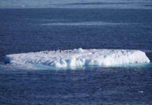 研究:冰雪加速消融令地球自转变慢