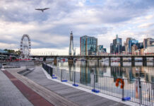 澳大利亚查获3000多枚涉黑市交易鸟蛋