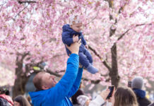 瑞典:祖辈看孩子可获补贴