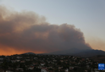 希腊山火肆虐 恐将持续扩大