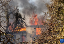 记者手记:在雅典遭遇凶猛山火