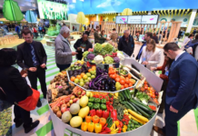 欧洲绿色协议面临挑战