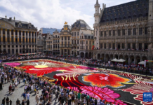 协调人辞职 比利时组阁谈判无果