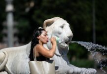 世界气象组织:7月极端高温影响全球数亿人