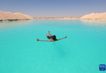 新研究:干涸盐湖是被低估的温室气体来源