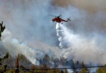 林火“异常危险” 希腊向多国求援