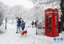 英国:明信片100多年后寄达 四处寻找收件人