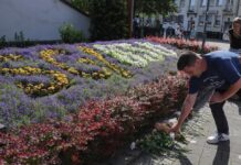 德国总理谴责索林根市袭击事件 称将收紧刀具管制