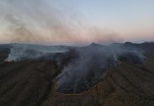 巴西六成国土遇大旱 野火肆虐烟霾飘邻国