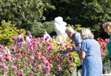 不想服从欧盟难民政策 荷兰寻求“选择退出权”