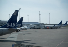 北欧航空飞机餐惊现活老鼠