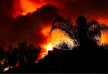 涉嫌多次纵火 美国加州消防局一员工被捕