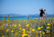 西班牙多地遭遇“过度旅游”困扰