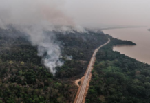 干旱致哥伦比亚境内亚马孙河水位下降多达九成