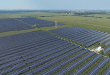 中国经济圆桌会:含“绿”量不断提升 新能源已成为中国新增电力装机主体