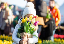 荷兰全国中小学课堂禁用手机