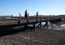 世界气象组织:2023年全球河流“30多年来最干”