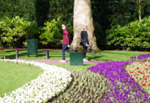 两个啤酒罐?荷兰一家博物馆展品误被当垃圾丢掉