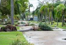 飓风“米尔顿”已致美国佛州16人死亡