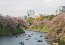 日本东京举办“放空大赛”