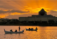 埃及获世卫组织消除疟疾认证