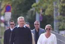 奥地利总统授权现总理内哈默组建新政府