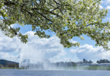 列国鉴·澳大利亚|记者观察:越来越热!澳大利亚如何应对