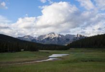 加拿大徒步旅行者荒野生存50天后生还