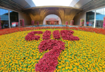 第七届进博会|新西兰食品企业长期看好中国市场