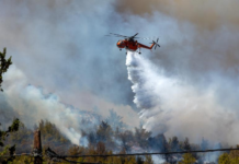 欧盟机构:2024年将成为有记录以来最热年份