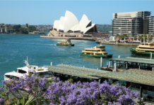 澳大利亚拟禁止16岁以下人群使用社交媒体