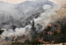 洛杉矶附近山火“失控”  多人受伤