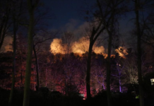 美国多地山火持续 一男子协助灭火时遇难