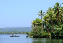 太平洋所罗门群岛附近发现世界最大珊瑚