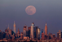 枪杀美医保巨头高管嫌疑人或已逃出纽约市