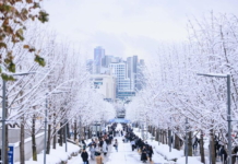 韩国教职员工抑郁症和焦虑症增多