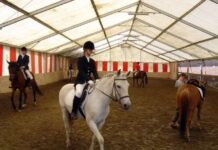 【复活节假期-4天3晚】比利时华裔马术体验营报名了!