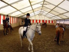 【复活节假期-4天3晚】比利时华裔马术体验营报名了!