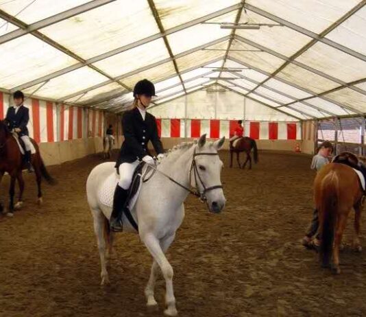 【复活节假期-4天3晚】比利时华裔马术体验营报名了!