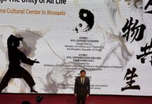 【刚柔之间,万物共鸣】太极文化在欧洲的律动