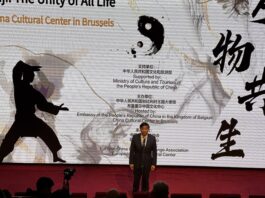 【刚柔之间,万物共鸣】太极文化在欧洲的律动